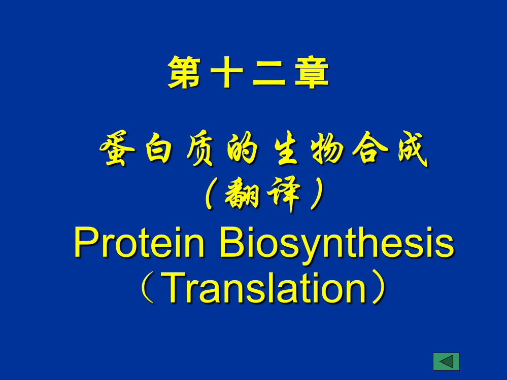 第12章蛋白质的生物合成翻译ppt课件