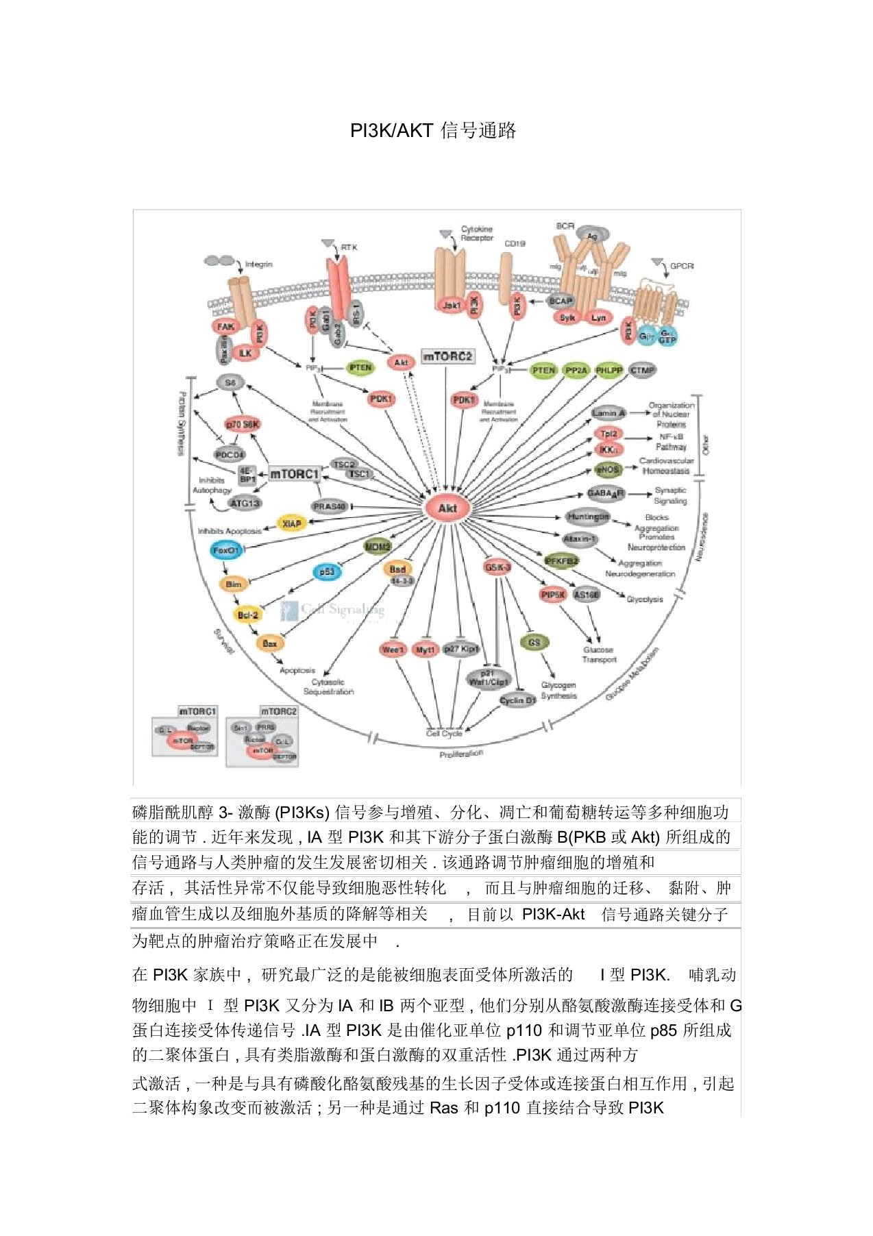 PI3KAKT信号通路图谱