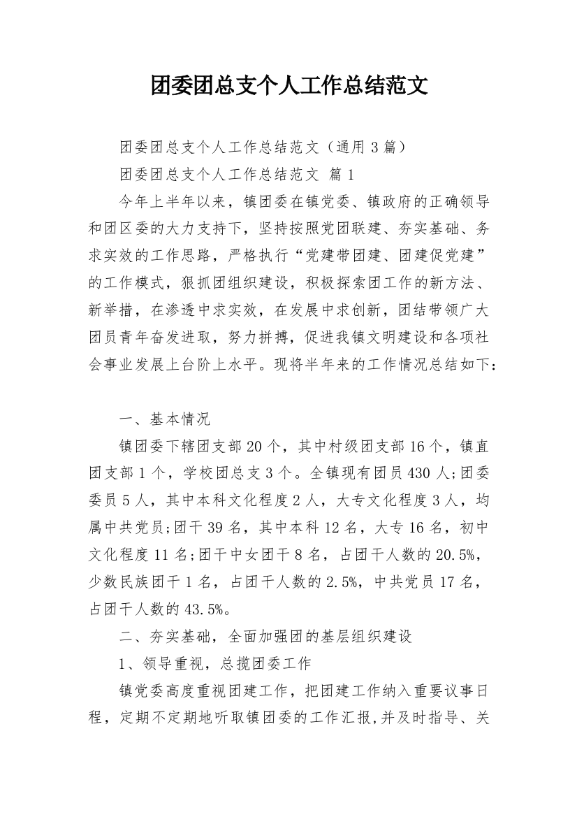 团委团总支个人工作总结范文