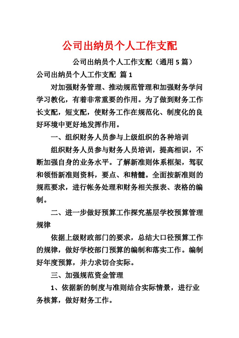 公司出纳员个人工作计划