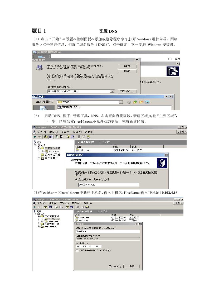 DNS配置和IIS配置、serv-u（详细步骤）