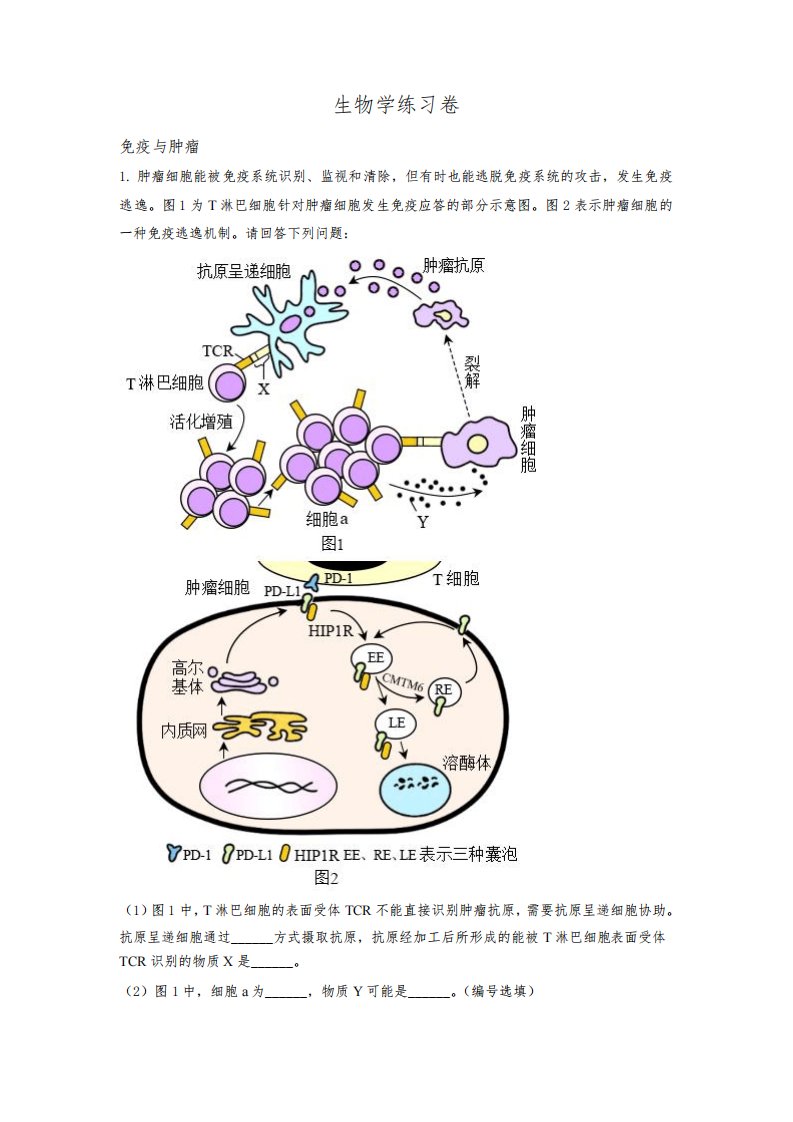 2023年上海市闵行区高三生物高考(等级考)一模试卷含详解