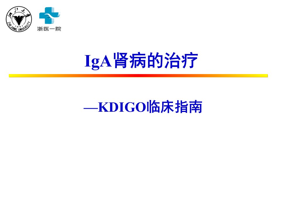 最新版KDIGO临床指南-IgA肾病的治疗