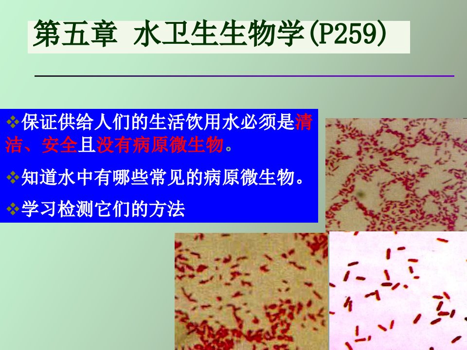 水的卫生细菌学