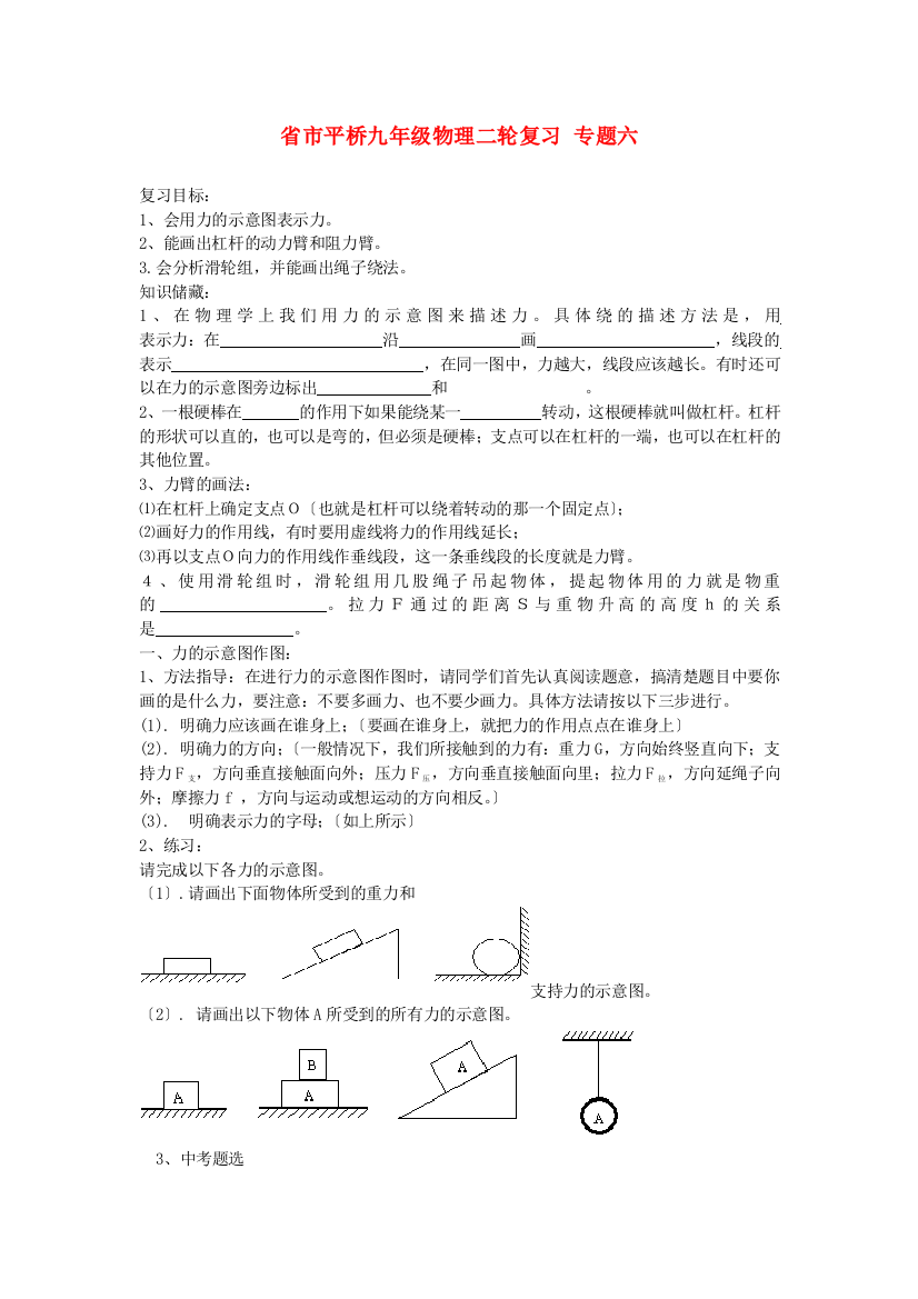 （整理版）市平桥九年级物理二轮复习专题六