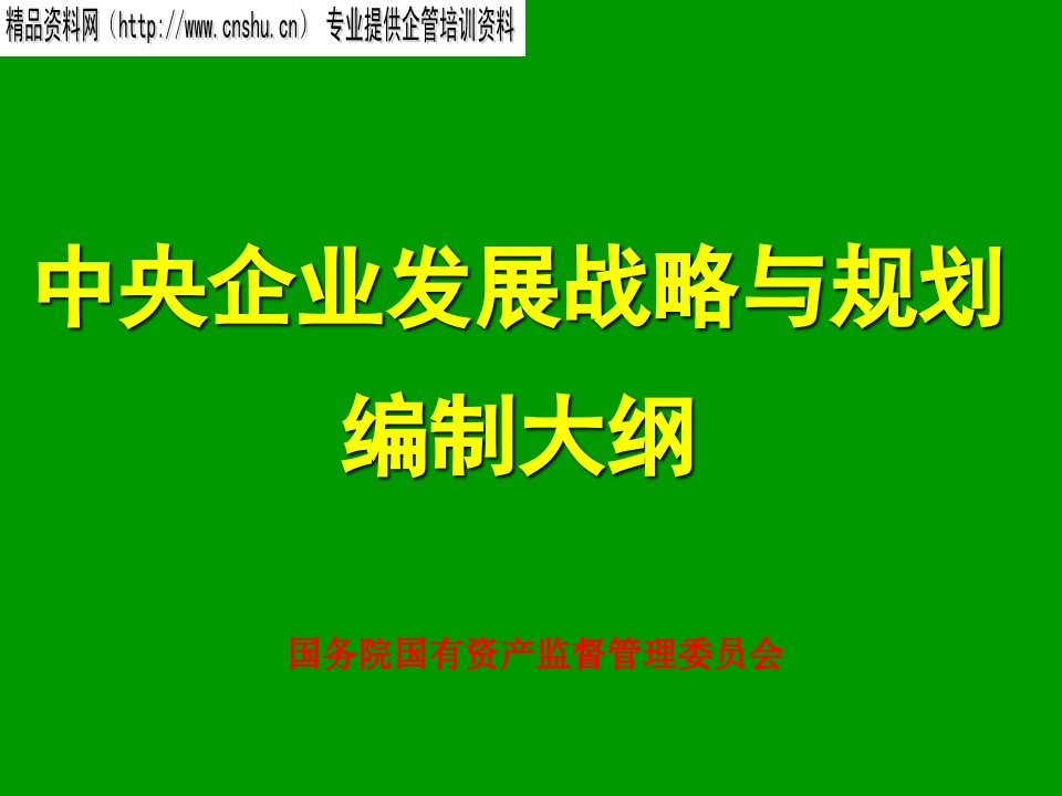 中央企业发展战略与规划编制