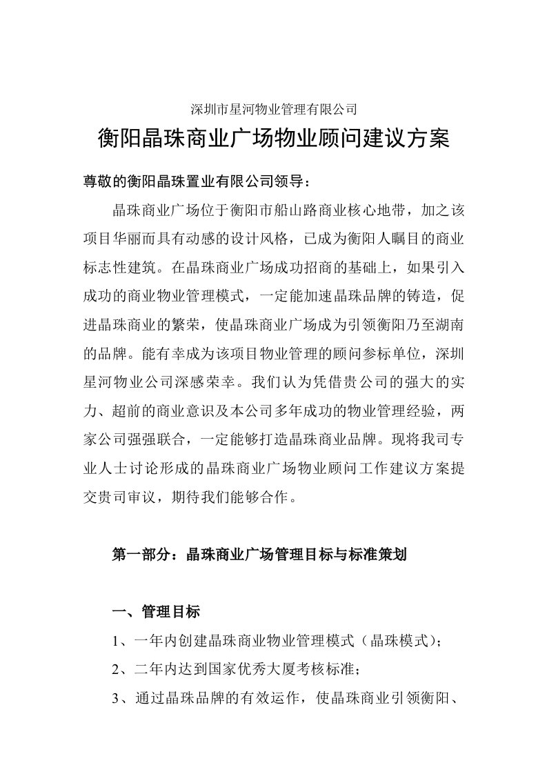 衡阳晶珠商业广场项目顾问方案