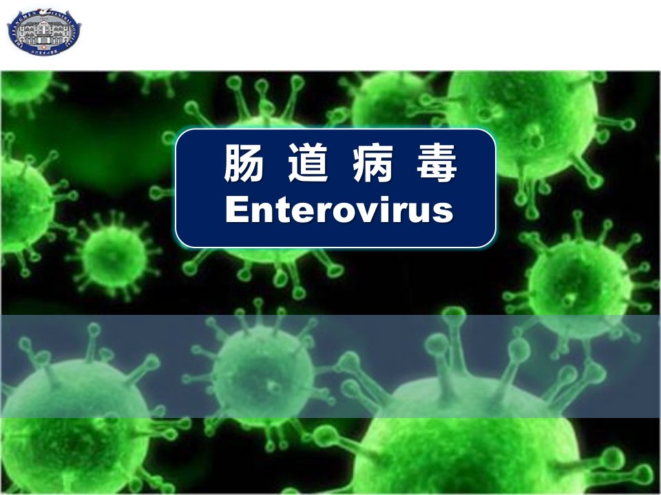 传染病学教学课件：肠道病毒