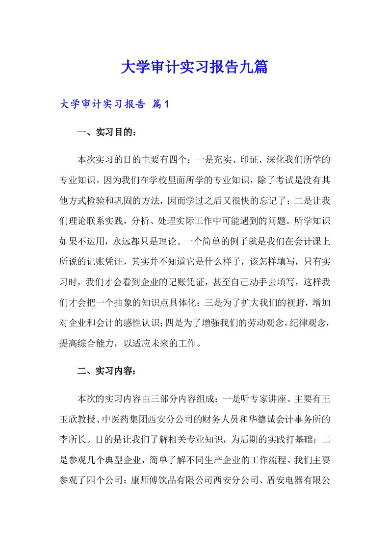 大学审计实习报告九篇