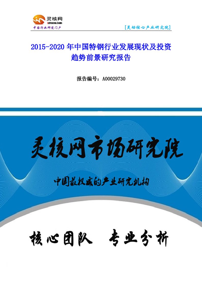 中国特钢行业市场分析与发展趋势研究报告-灵核网发布