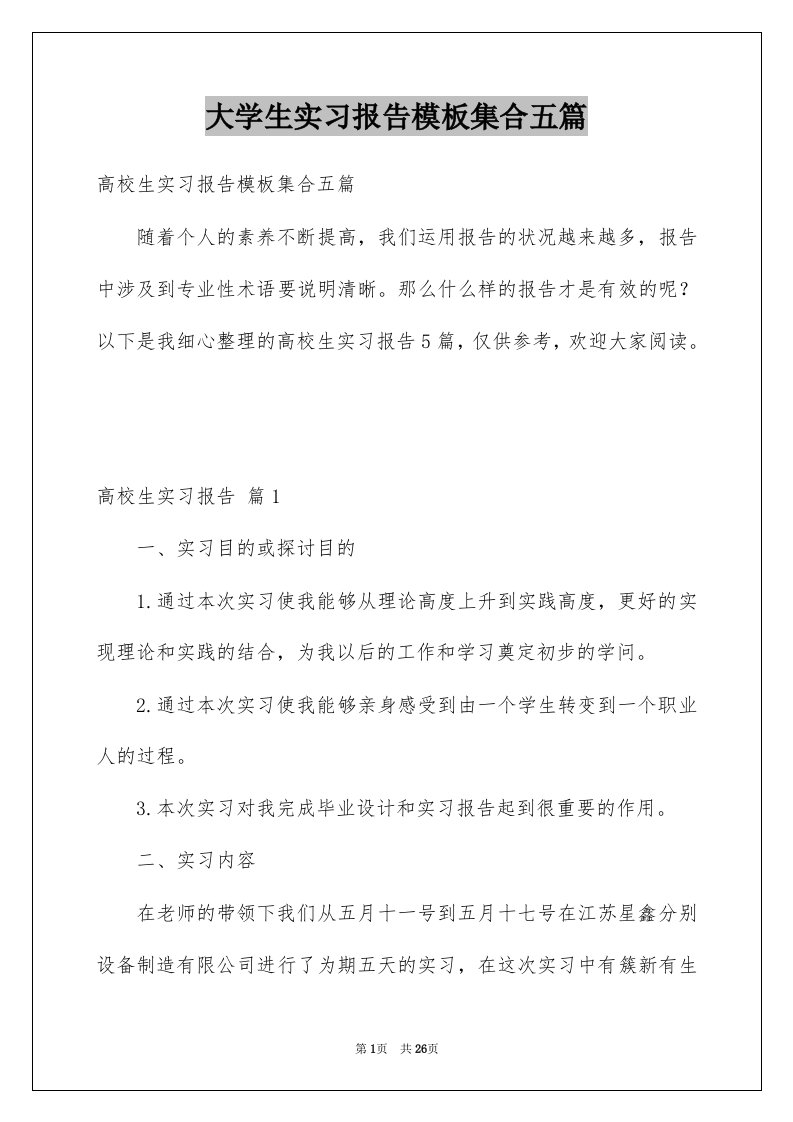 大学生实习报告模板集合五篇例文