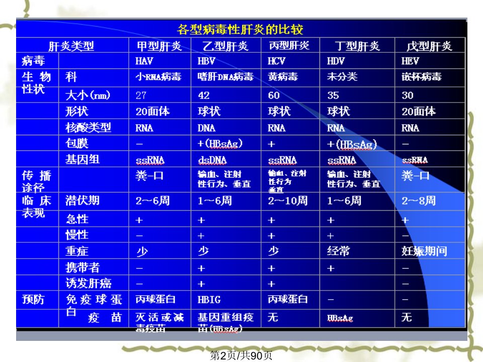 肝炎病毒3学习