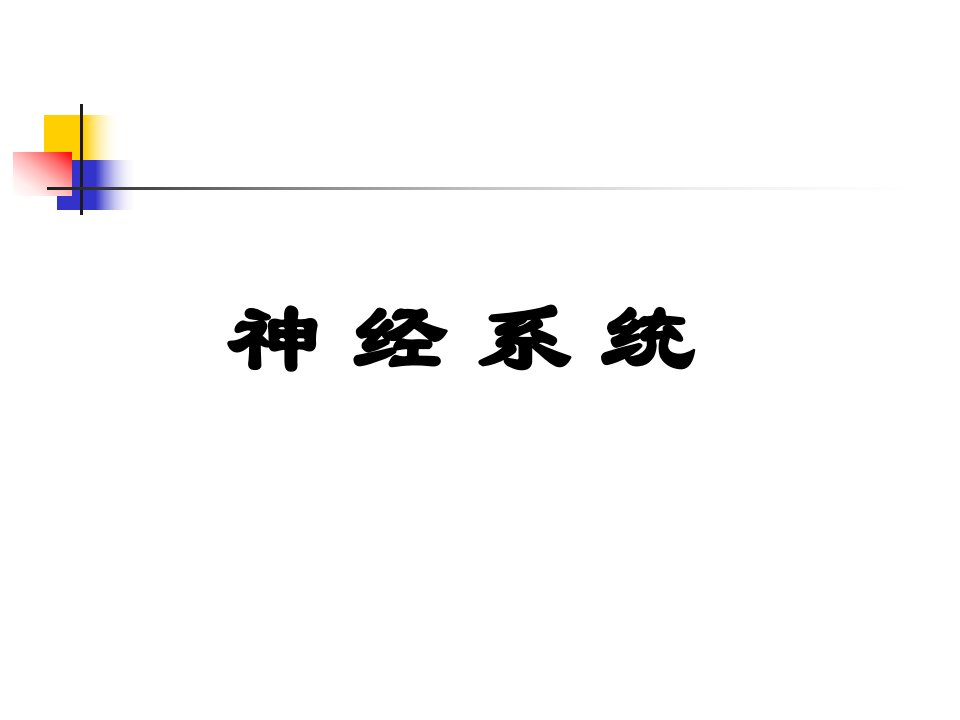 神经系统人体解剖生理学