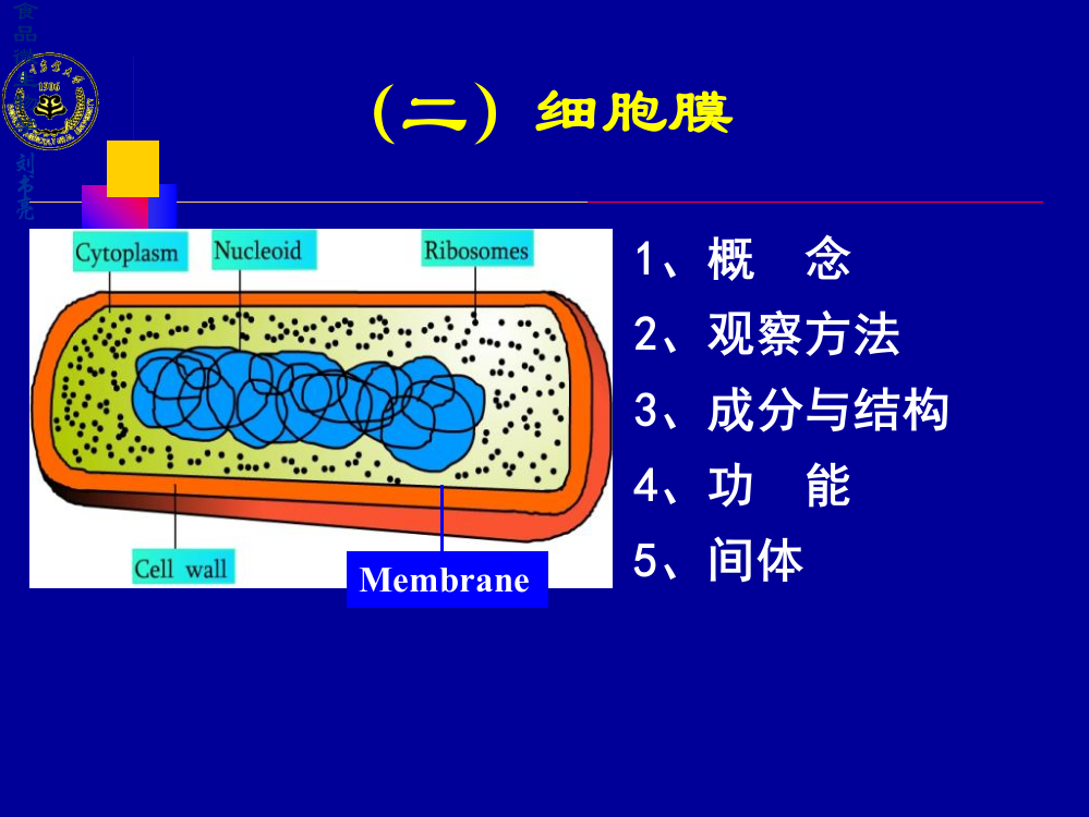 第2章微生物3-2013ppt课件