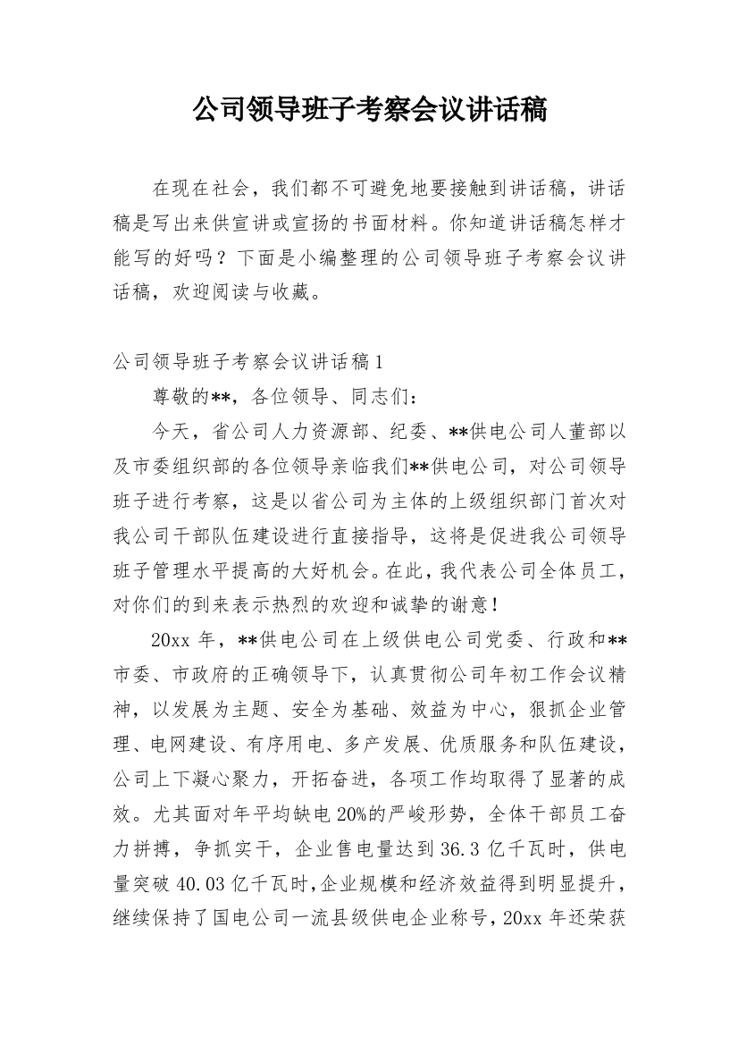 公司领导班子考察会议讲话稿_1