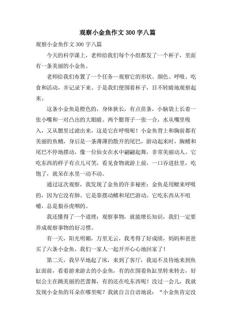 观察小金鱼作文300字八篇