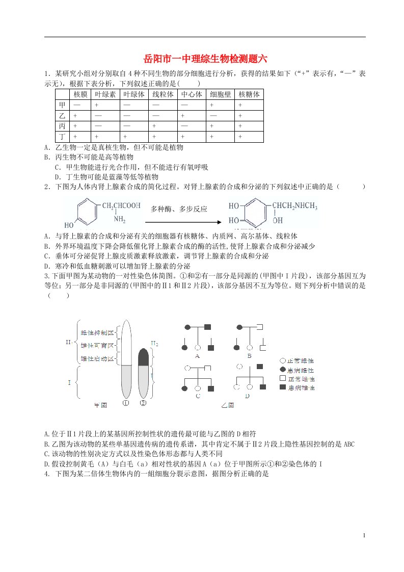 湖南省岳阳市一中高三生物第六次质量检测试题新人教版