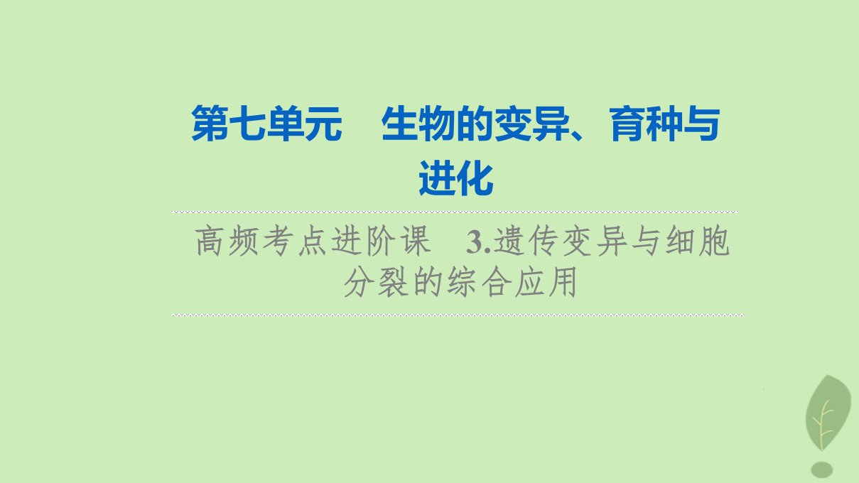 2024版高考生物一轮总复习第7单元生物的变异育种与进化高频考点进阶课3.遗传变异与细胞分裂的综合应用课件