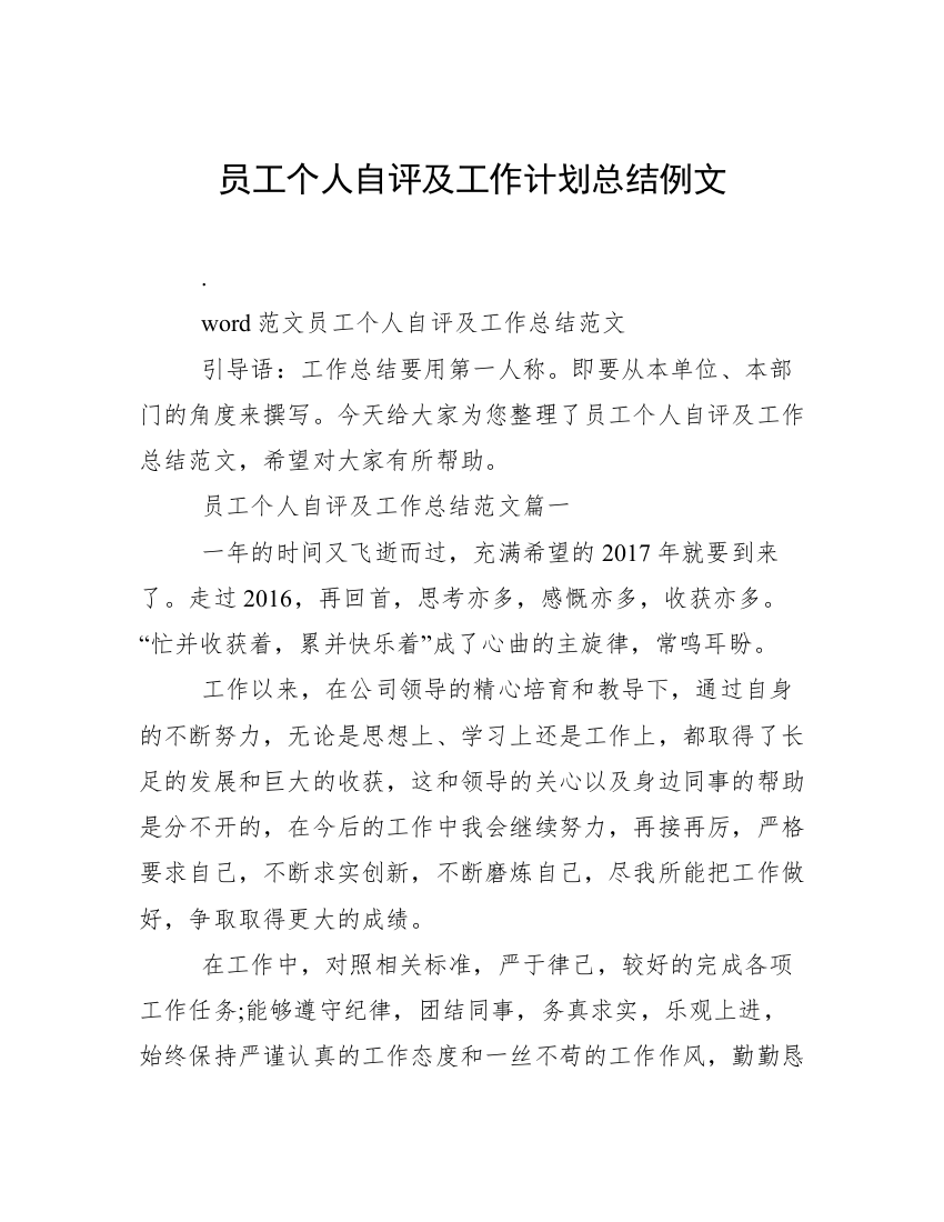 员工个人自评及工作计划总结例文