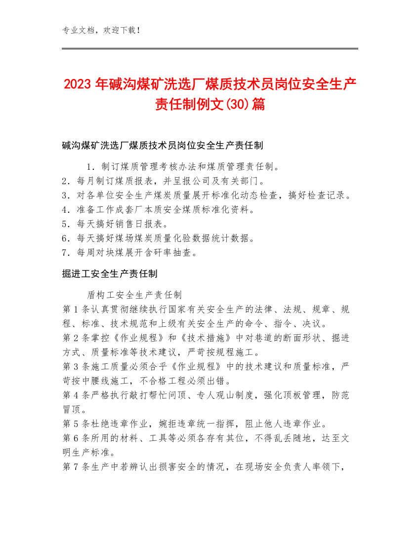 2023年碱沟煤矿洗选厂煤质技术员岗位安全生产责任制例文(30)篇