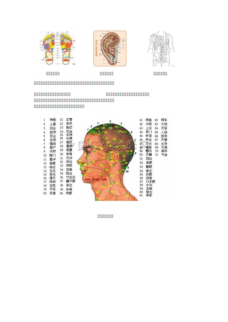 全身穴位图解