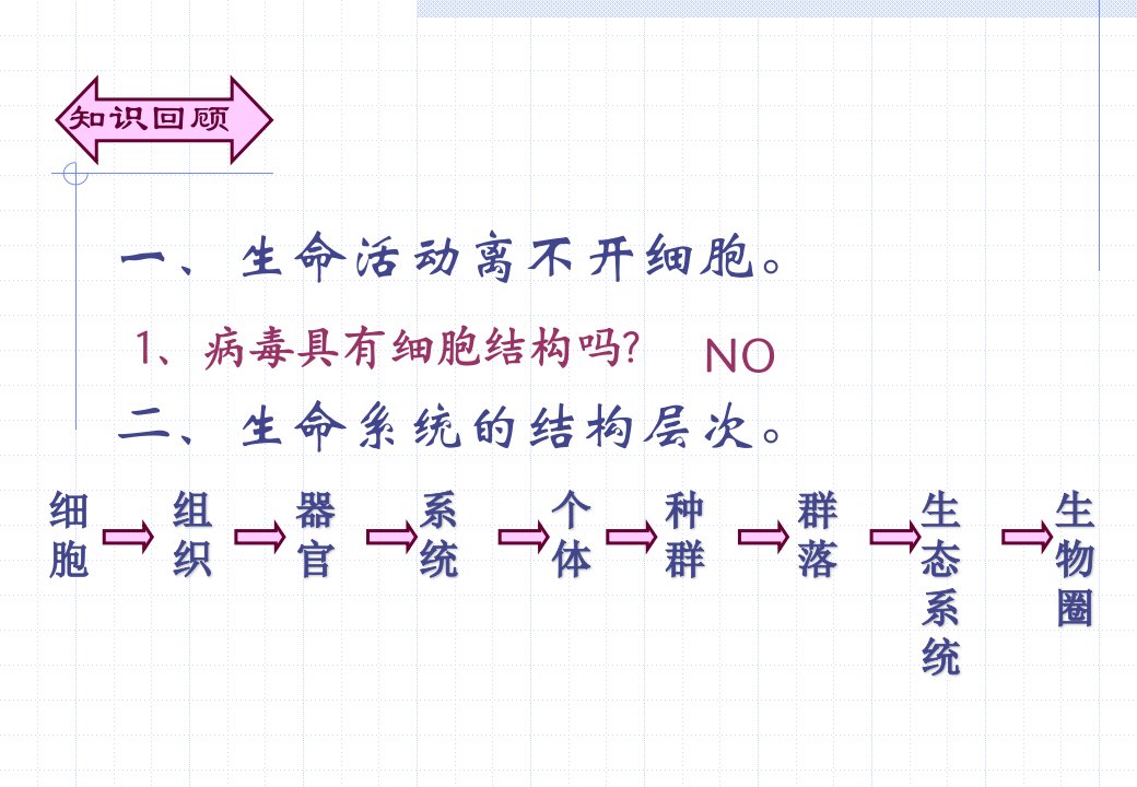 人教版教学课件1.2细胞的多样性和统一性(新课用)