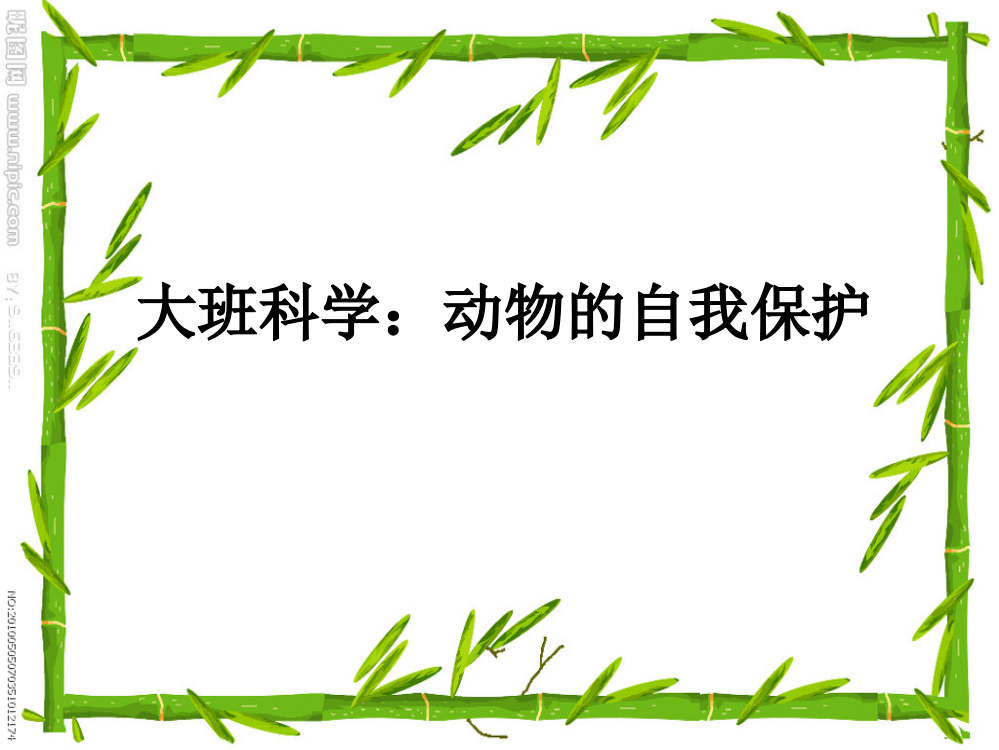 幼儿园大班科学课件《动物的自我保护》