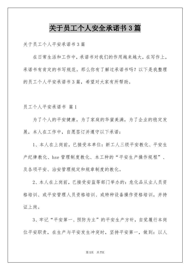 关于员工个人安全承诺书3篇