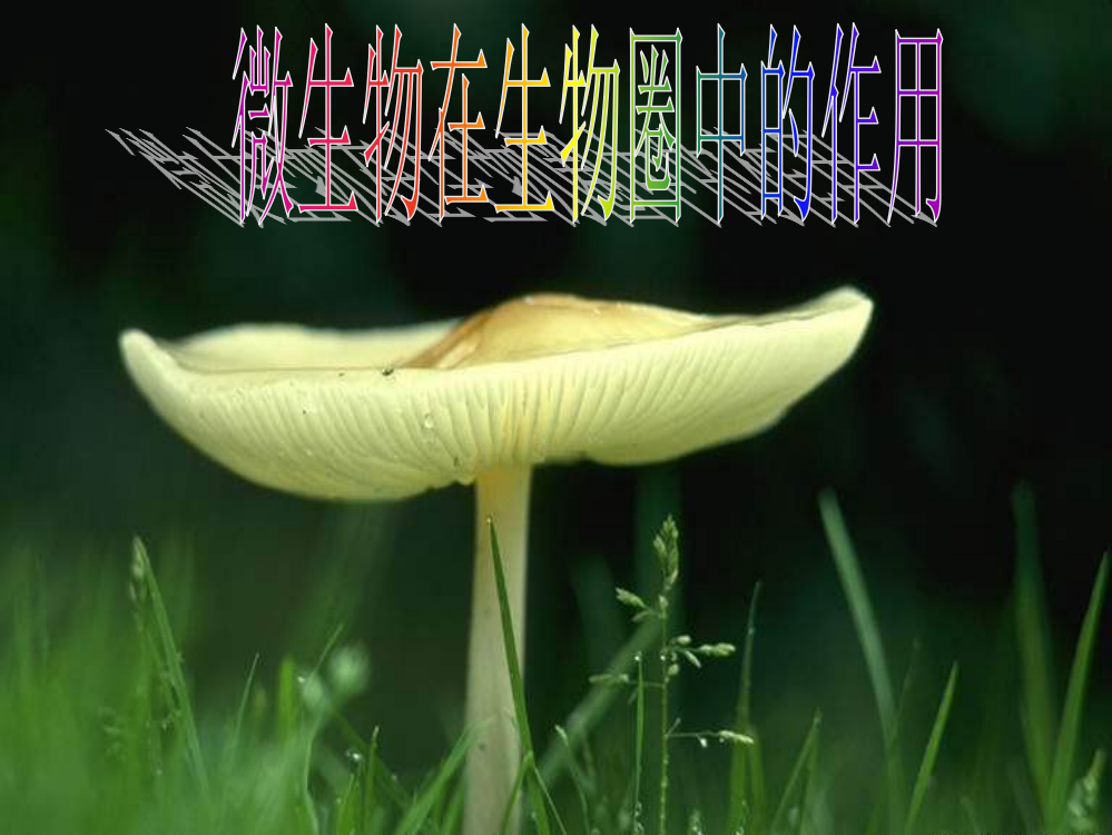 微生物在生物圈中的作用ppt课件