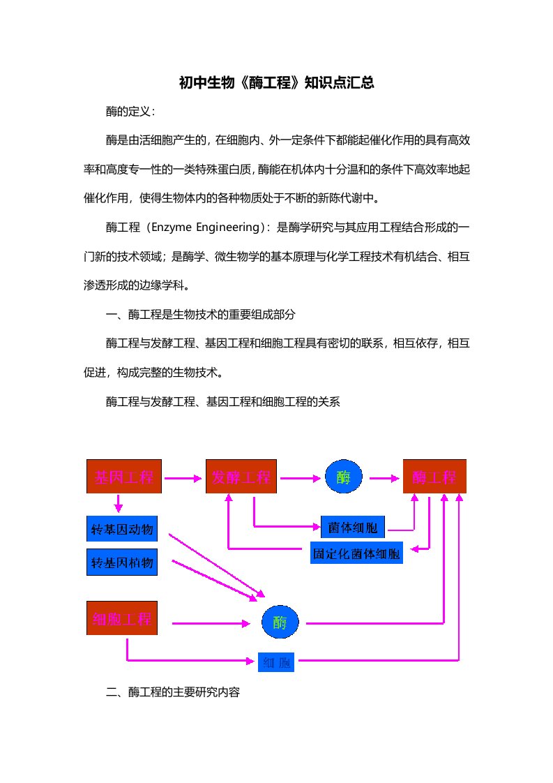 初中生物酶工程知识点汇总