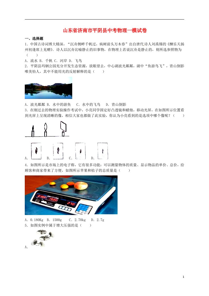 山东省济南市平阴县中考物理一模试题（含解析）