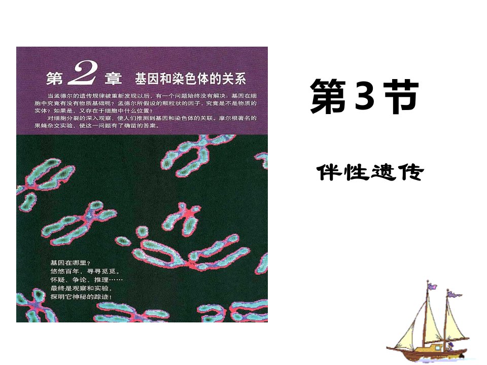 人教版生物《伴性遗传》1课件