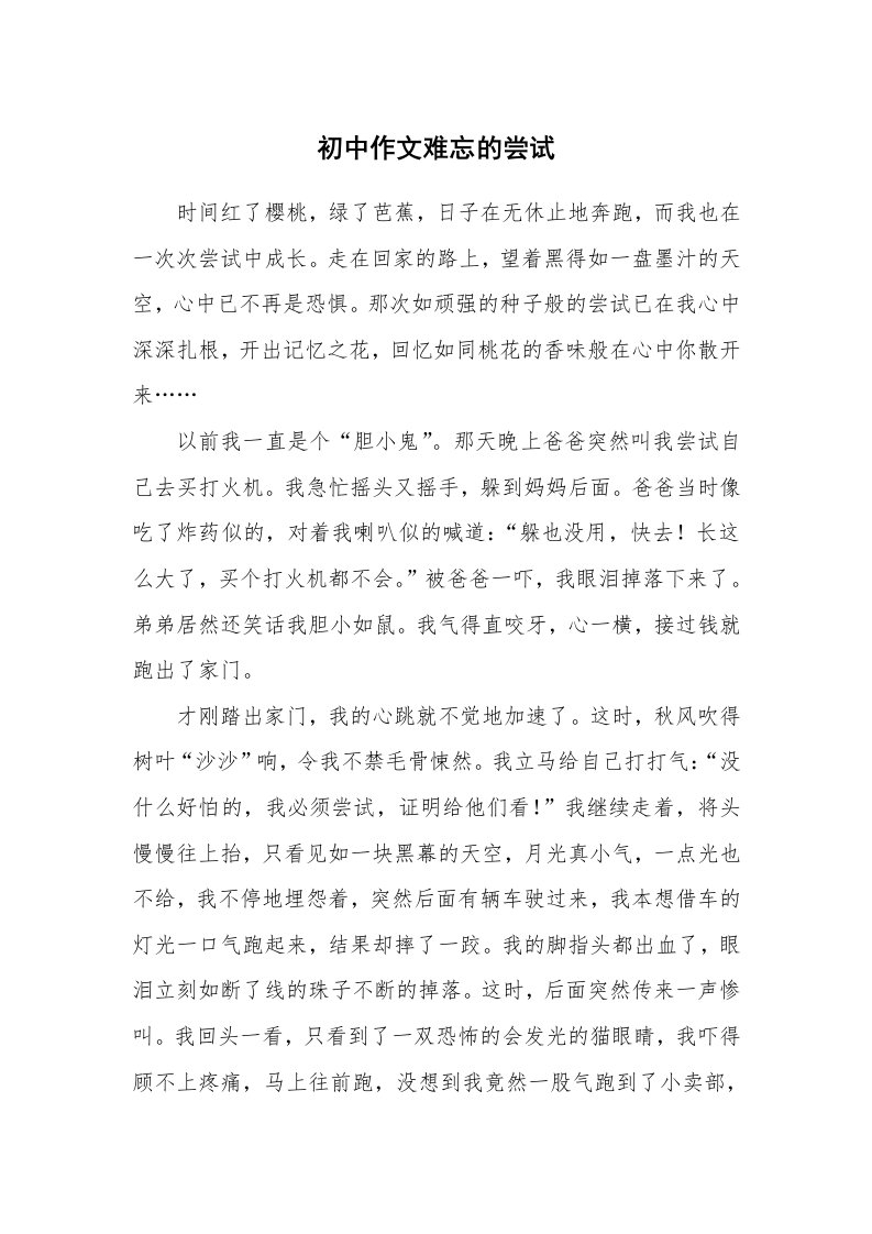 初中作文难忘的尝试