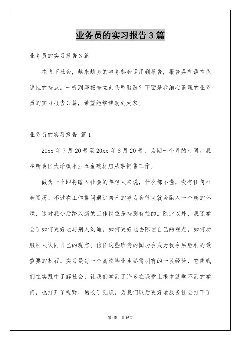 业务员的实习报告3篇精选