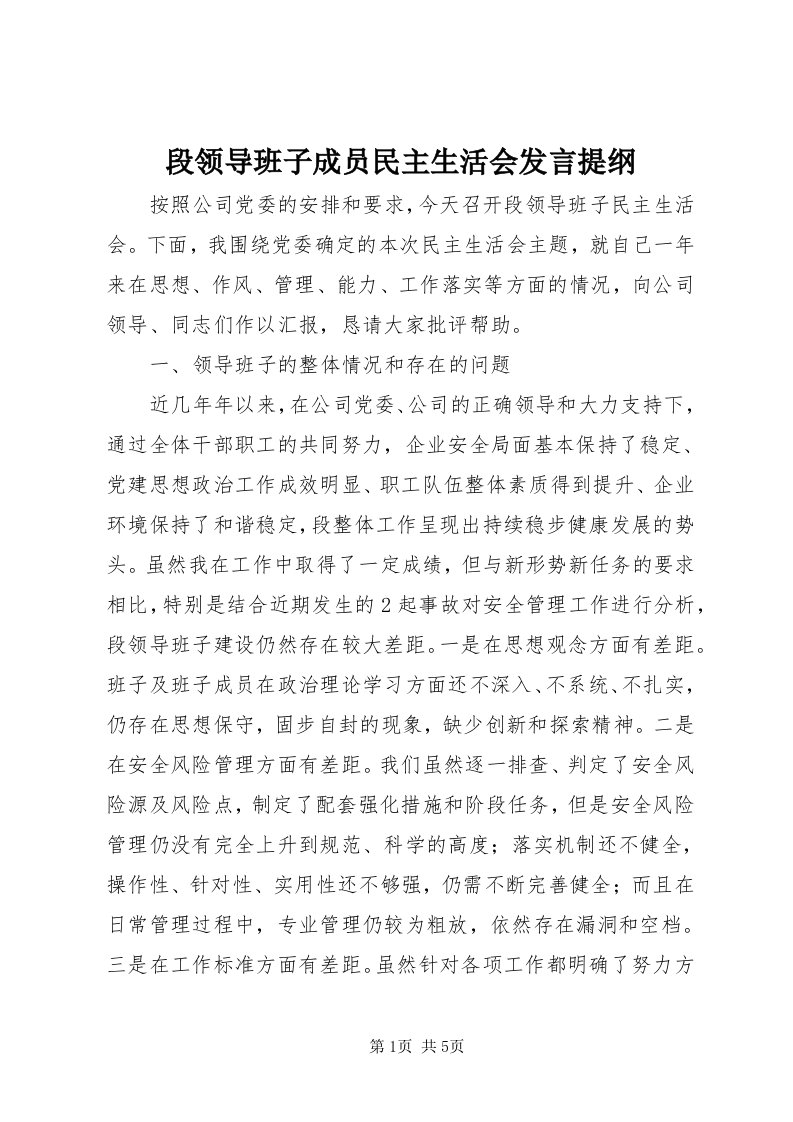 段领导班子成员民主生活会讲话提纲