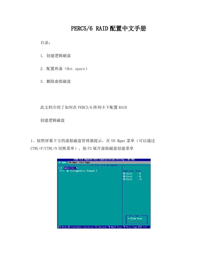 dell+RAID配置中文手册