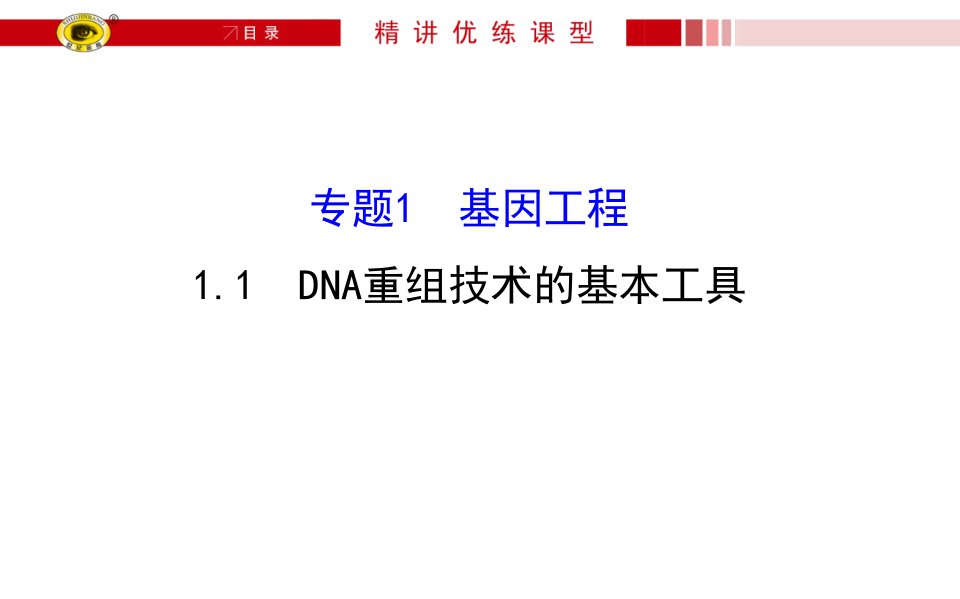 基因工程附加对应习题课件