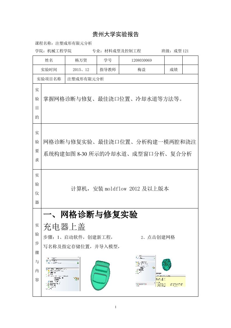 molfLow课程作业贵州大学实验报告模板课程期末作业