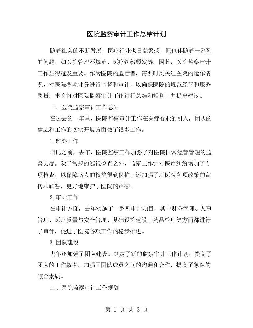 医院监察审计工作总结计划