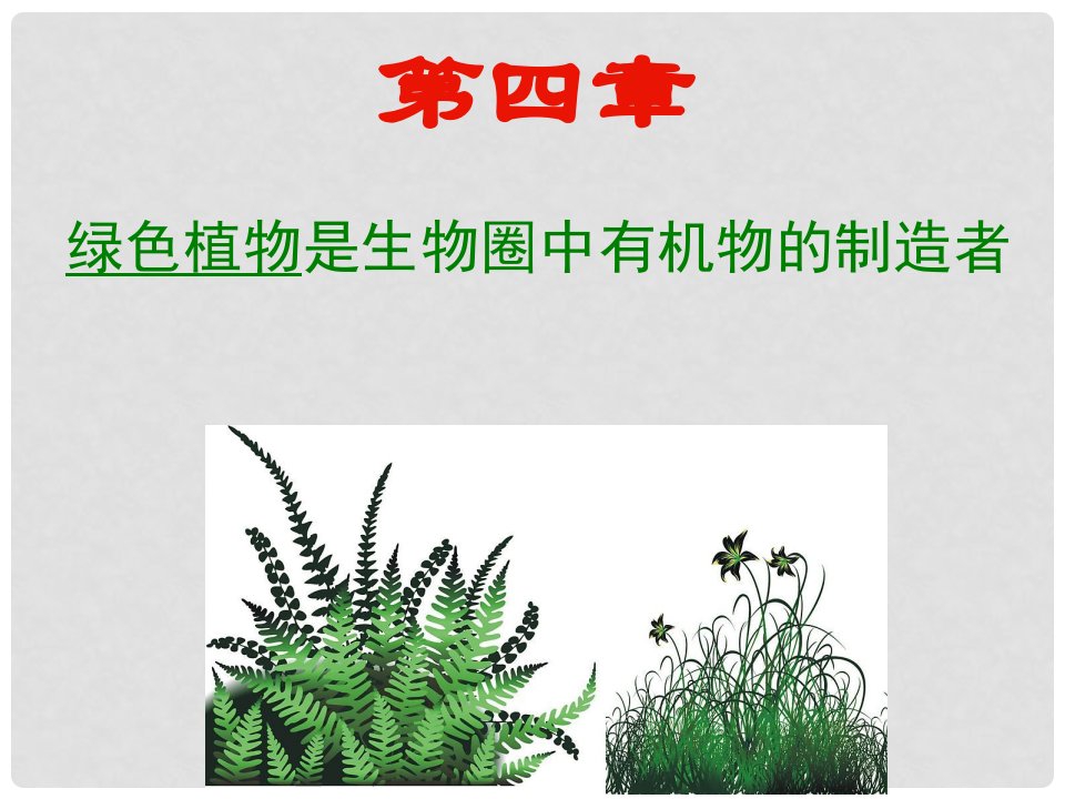 吉林省长市七年级生物上册