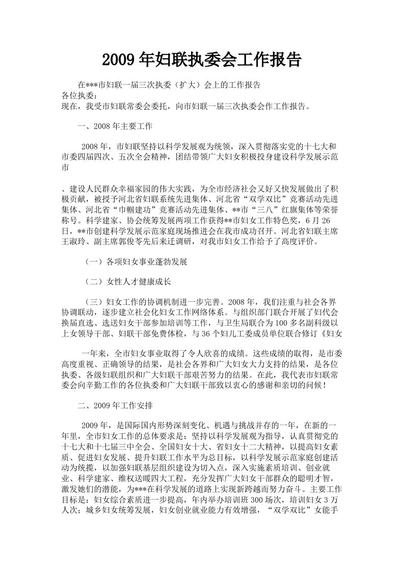 2009年妇联执委会工作报告