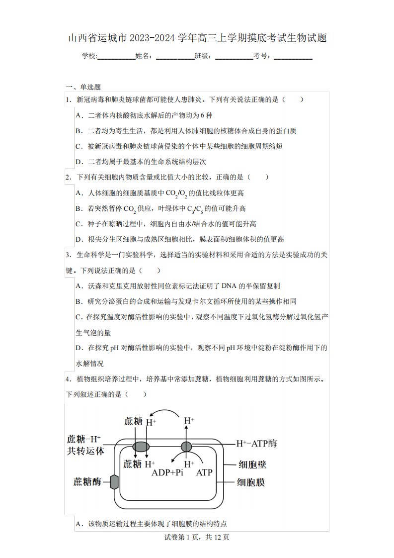 2024学年高三上学期摸底考试生物试题(含解析)