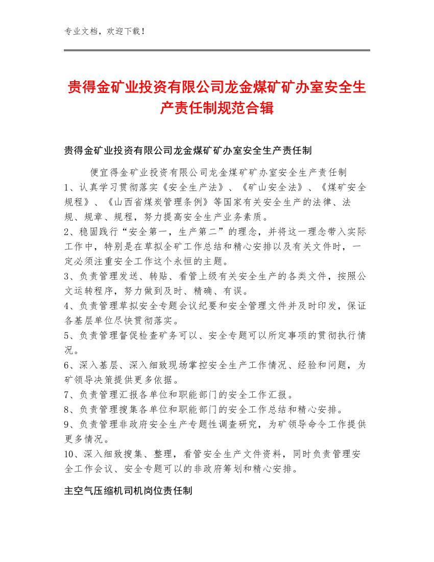 贵得金矿业投资有限公司龙金煤矿矿办室安全生产责任制规范合辑