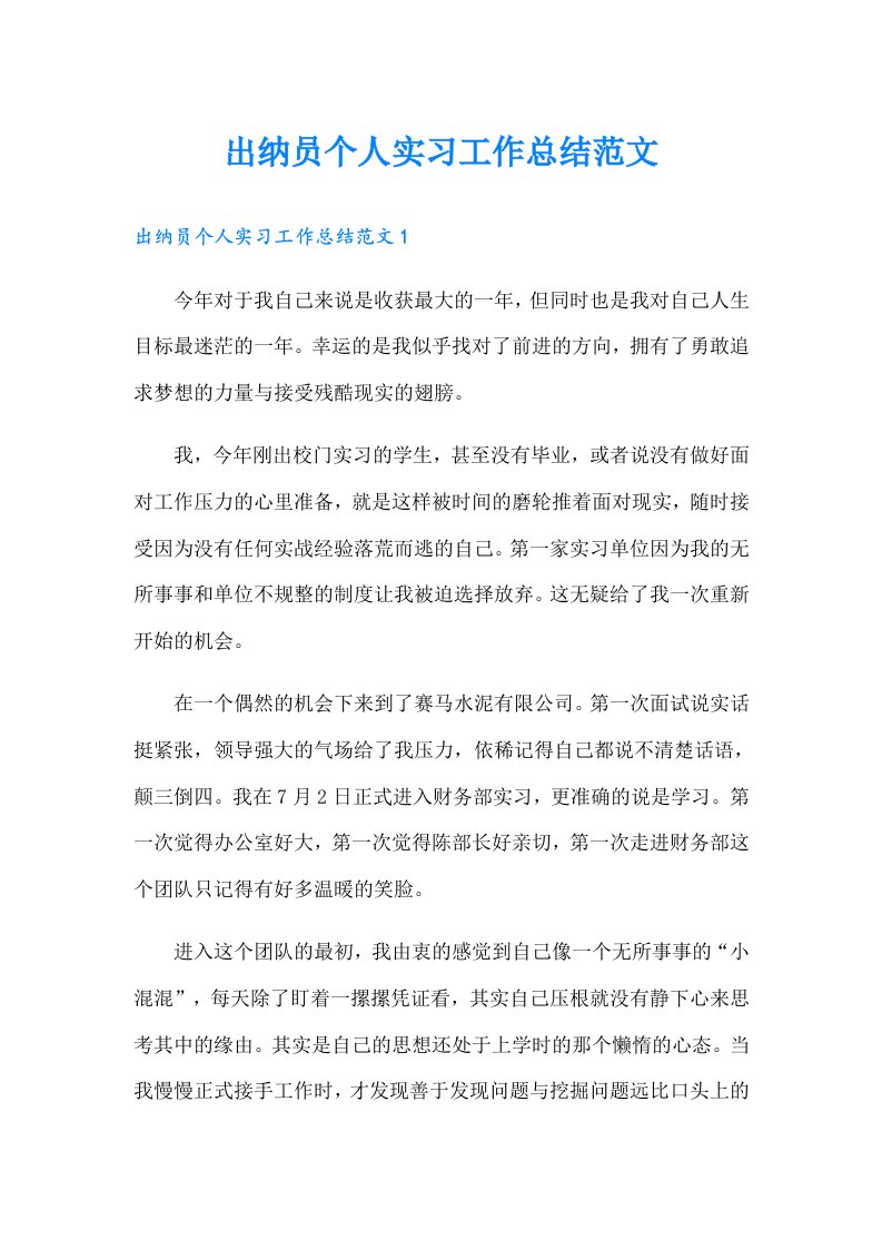 出纳员个人实习工作总结范文