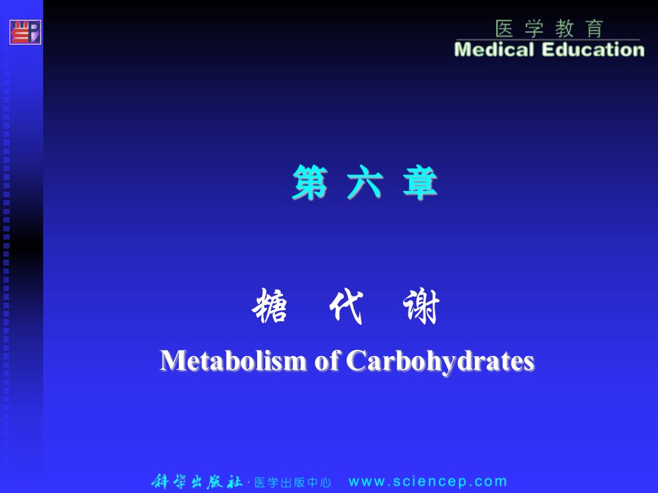 第6章糖代谢(1)