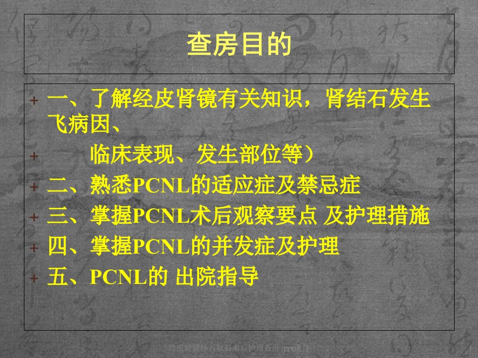 经皮肾镜碎石取石术后护理查房ppt课件