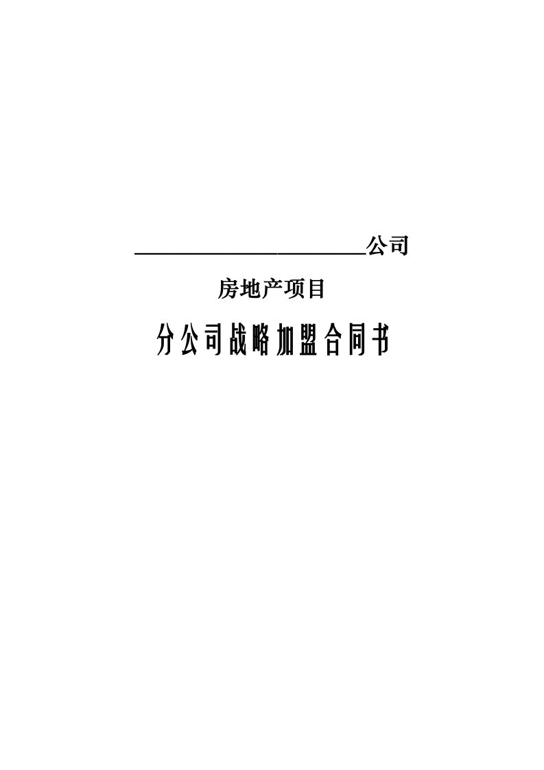 分公司战略加盟合同书