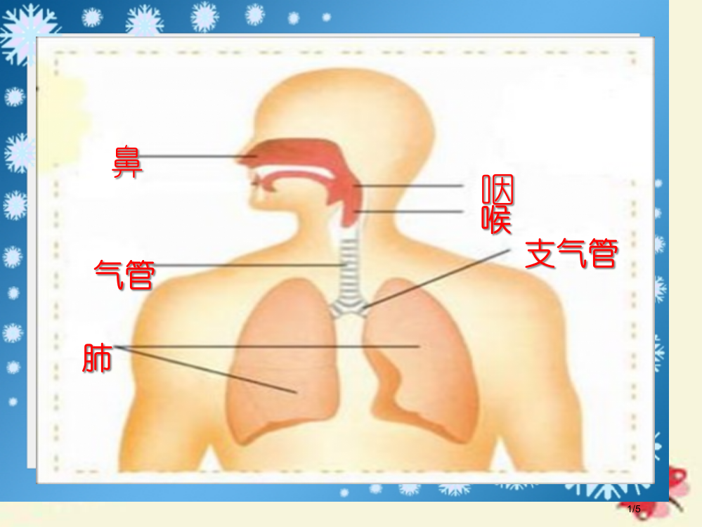 四年级科学下册2.2有趣的呼吸器官全国公开课一等奖百校联赛微课赛课特等奖PPT课件