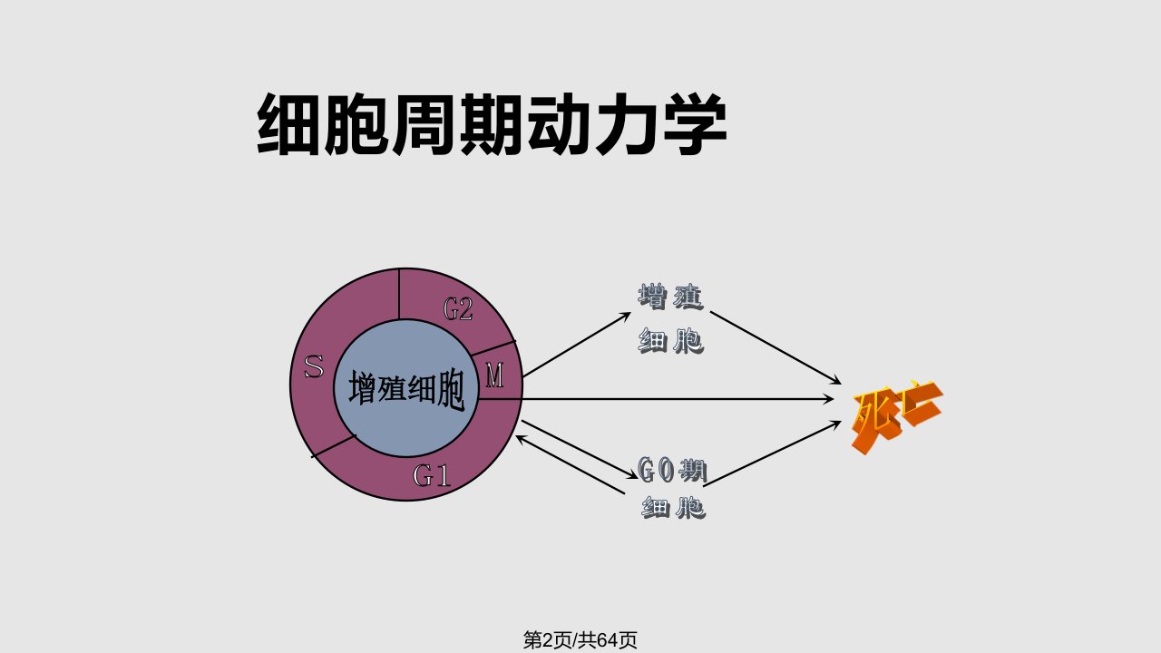 肺癌常用化疗药物介绍