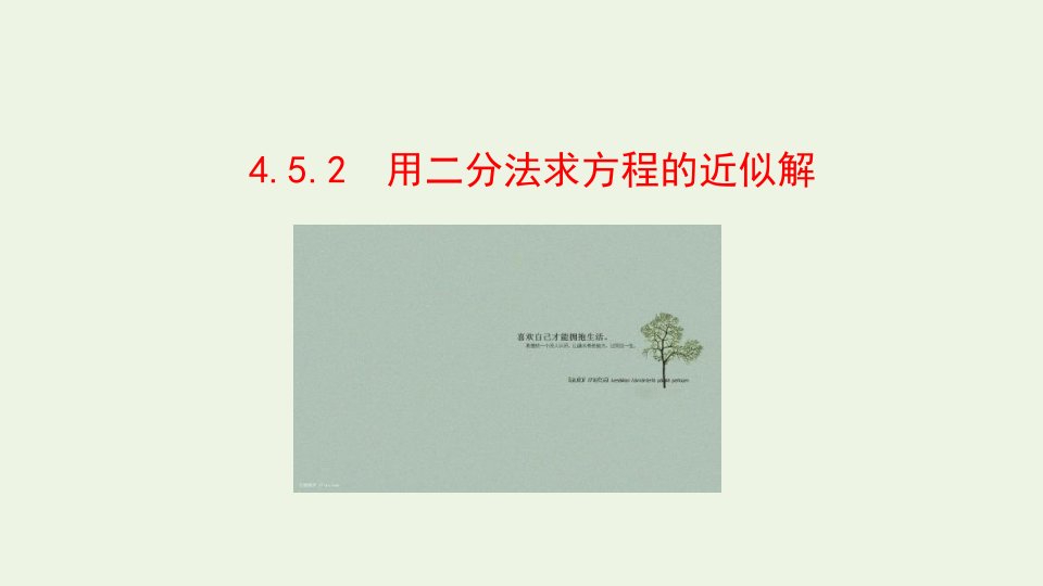 2021_学年新教材高中数学第四章指数函数与对数函数5.2用二分法求方程的近似解课件新人教A版必修第一册